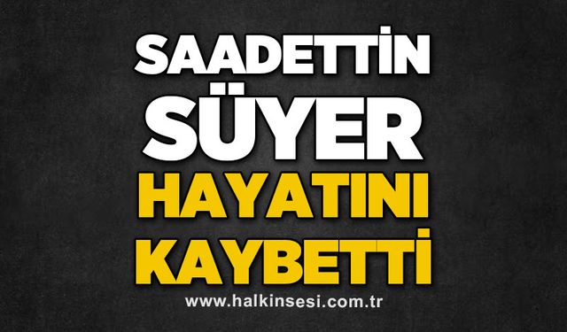 Devrek
