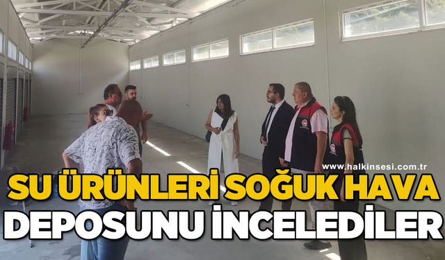 Kilimli