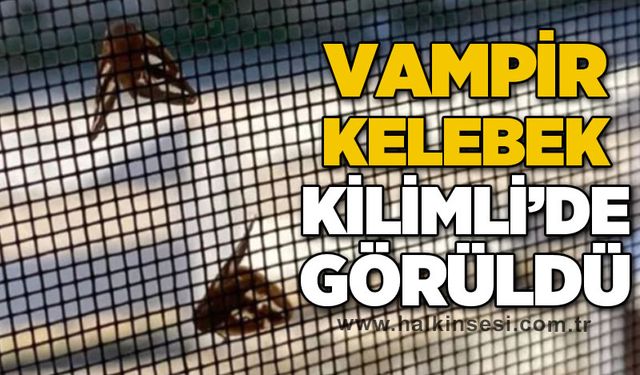 Kilimli