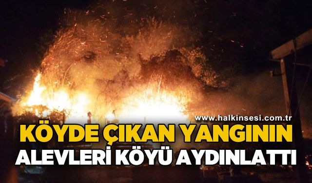 Bahçede çıkan yangın ormana sıçramadan söndürüldü