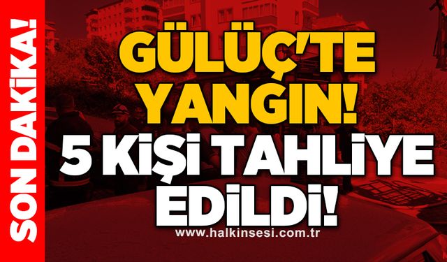 KDZ. Ereğli