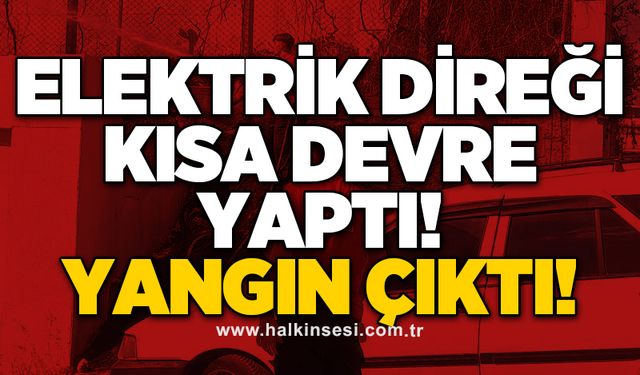 Kocaeli