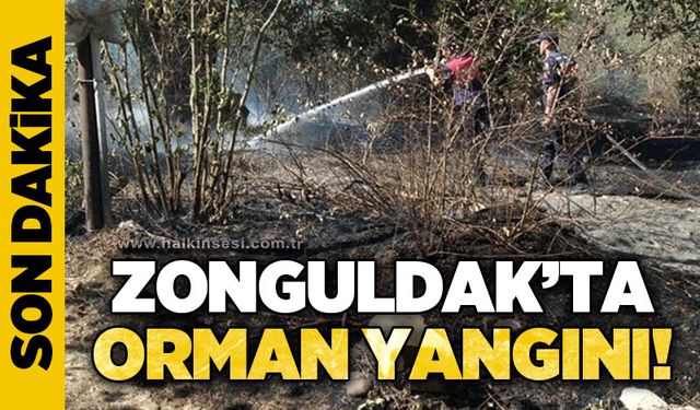 Zonguldak'ta orman yangını: Ekipler müdahale etti
