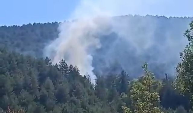 Bolu’da çıkan orman yangını kısa sürede söndürüldü