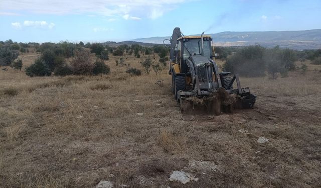 150 hektarlık merada ıslah çalışması başladı