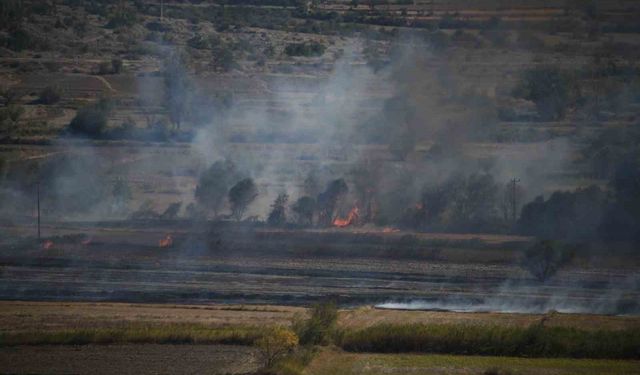 Kastamonu’da çeltik tarlasında çıkan yangın söndürüldü