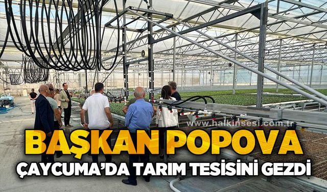 Başkan Popova Çaycuma'da tarım tesisini gezdi