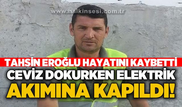 Tahsin Eroğlu ceviz dokurken elektrik akımına kapılarak hayatını kaybetti