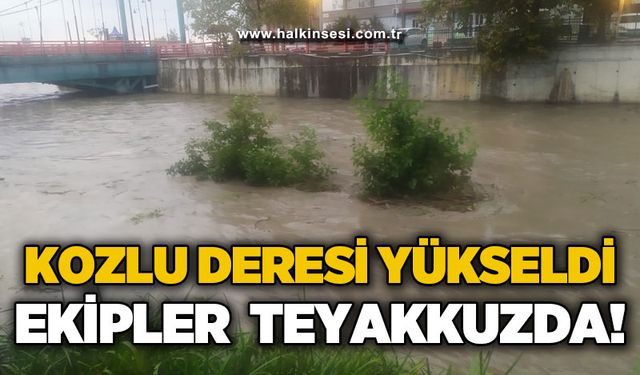 Kozlu Deresi yükseldi!