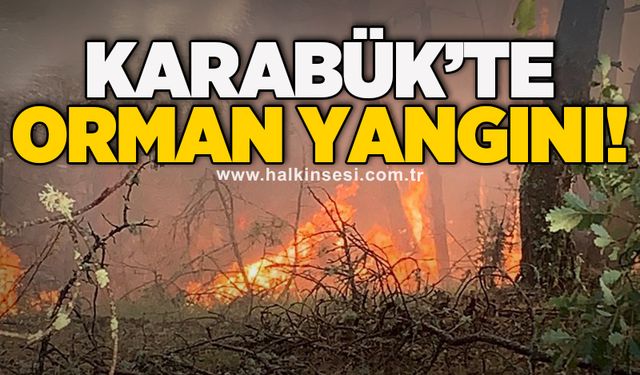 Karabük’te orman yangını!