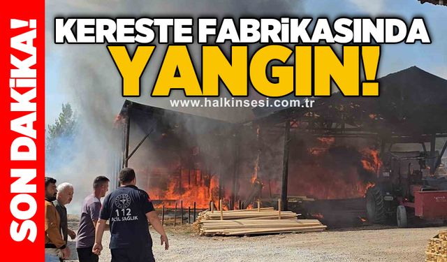 Kereste fabrikasında yangın!