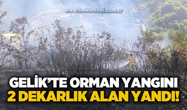 Gelik'te yangın çıktı: Ekipler olay yerinde!