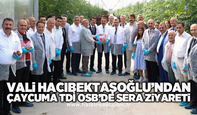 Vali Hacıbektaşoğlu’ndan Çaycuma TDİ OSB’de Sera Ziyareti