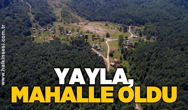 YAYLA, MAHALLE OLDU