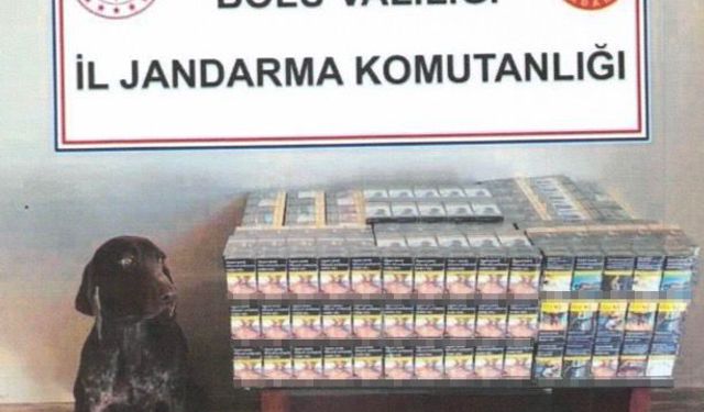 Bolu’da yolcu otobüsünde kaçak sigara ele geçirildi