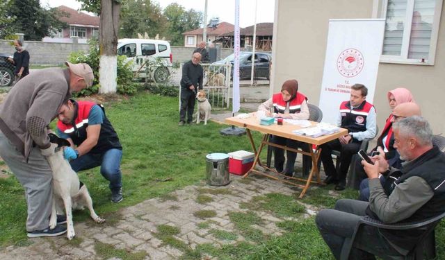 Son tarih 31 Aralık 2025