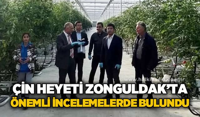 Çin heyeti Zonguldak'ta önemli incelemelerde bulundu