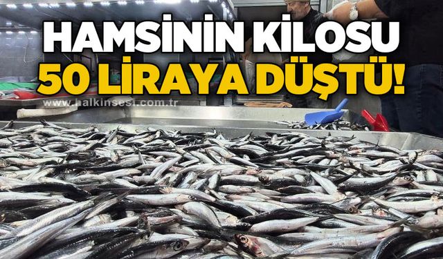 Hamsinin kilosu 50 liraya düştü
