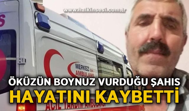 Öküzün boynuz vurduğu şahıs hayatını kaybetti!