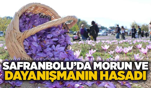 Safranbolu’da Morun ve Dayanışmanın Hasadı: Anadoludakiler’den Safran İmecesi