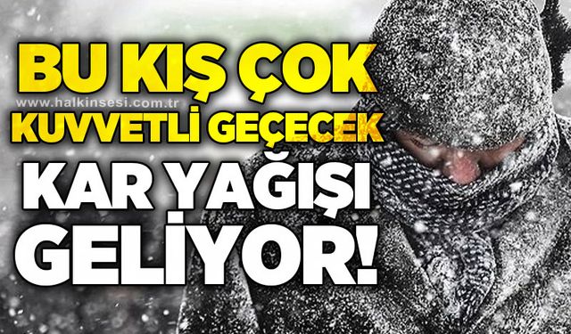 Bu kış çok kuvvetli geçecek: Kar yağışı geliyor!