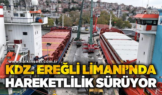 Kdz. Ereğli Limanı'nda hareketlilik sürüyor