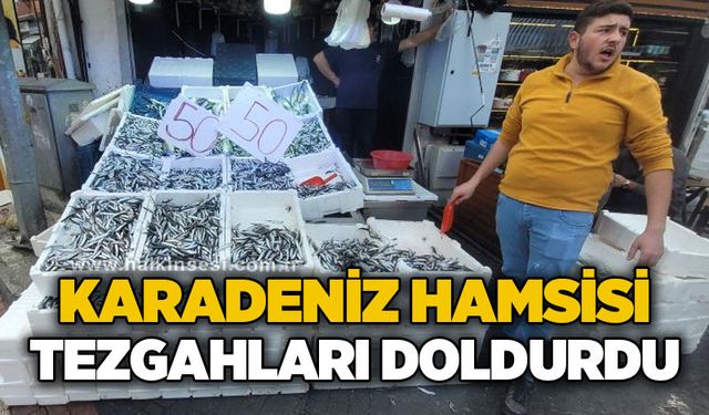 Karadeniz hamsisi tezgahları doldurdu: Kilosu 50 lira