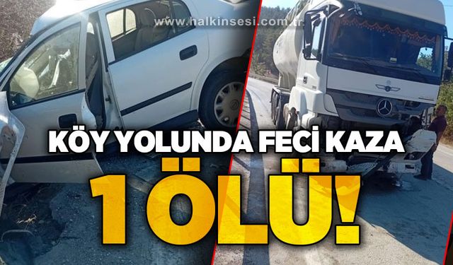 Köy yolunda feci trafik kazası: 1 ölü