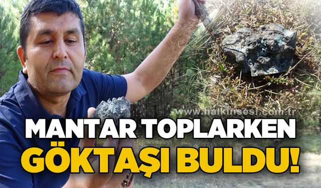 Mantar toplarken göktaşı buldu!
