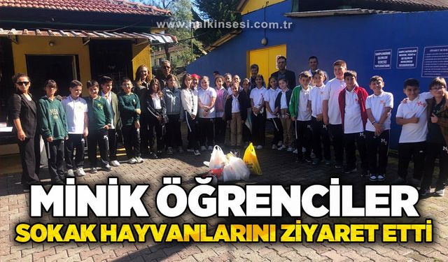 Minik öğrenciler sokak hayvanlarını ziyaret etti