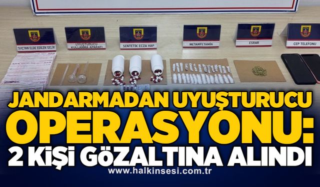 Jandarmadan uyuşturucu operasyonu: 2 kişi gözaltına alındı