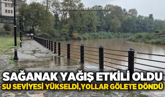 Sağanak yağış etkili oldu: Su seviyesi yükseldi, yollar gölete döndü