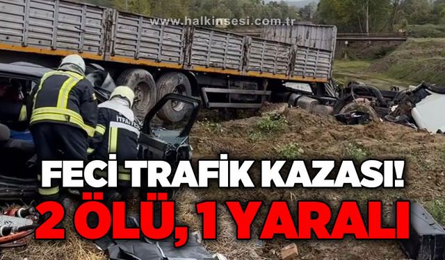 Feci trafik kazası: 2 ölü, 1 yaralı