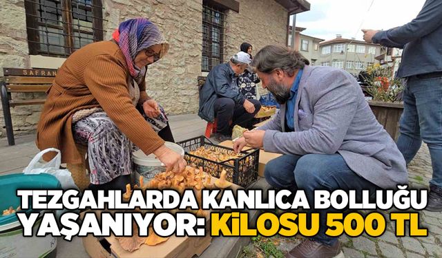 Tezgahlarda kanlıca bolluğu yaşanıyor: Kilosu 500 TL