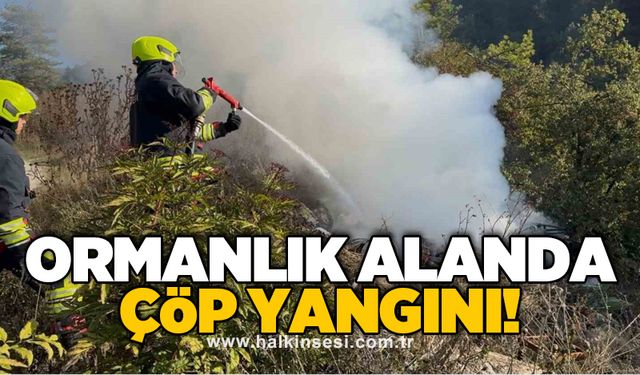 Ormanlık alanda çöp yangını!