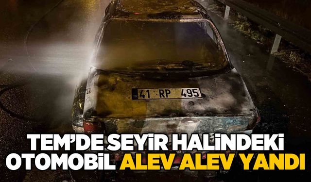 TEM’de seyir halindeki otomobil alev alev yandı