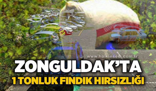 Zonguldak'ta 1 tonluk fındık hırsızlığı