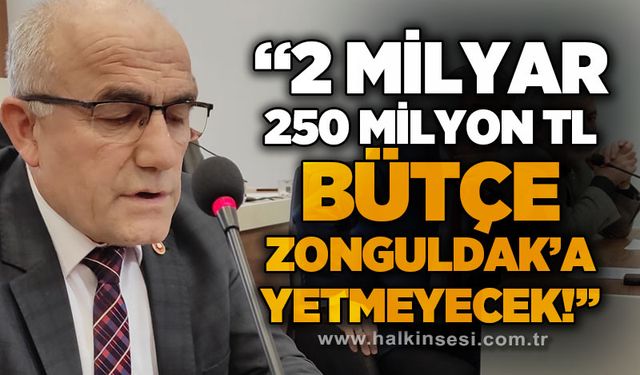 CHP İl Genel Meclis Üyesi Kenan Gündoğdu: 2 milyar 250 milyon TL