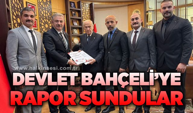 Devlet Bahçeli'ye rapor sundular
