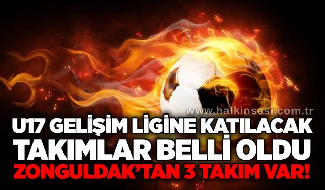 U17 Gelişim Ligine katılacak takımlar belli oldu Zonguldak’tan 3 takım var!