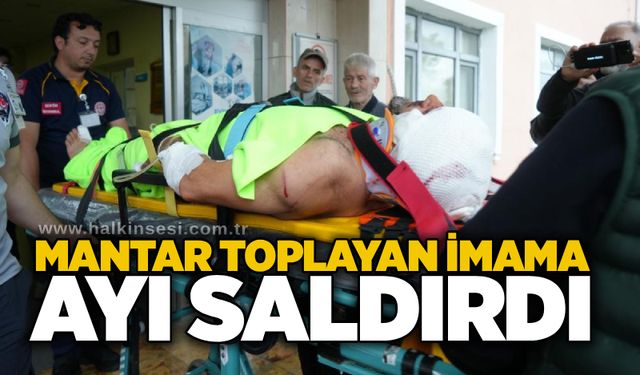 Mantar toplayan imama ayı saldırdı
