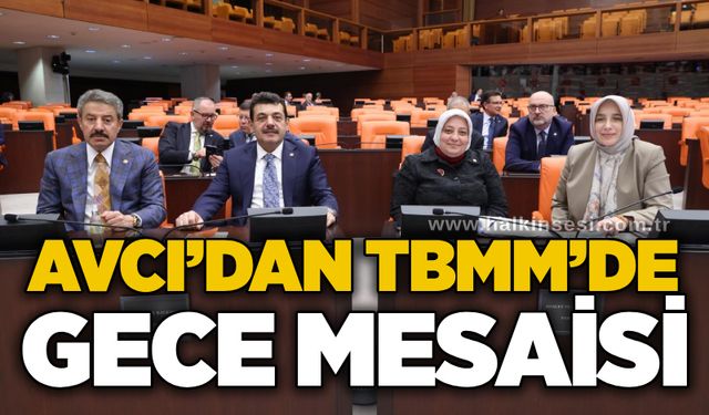 Avcı’dan TBMM’de gece mesaisi