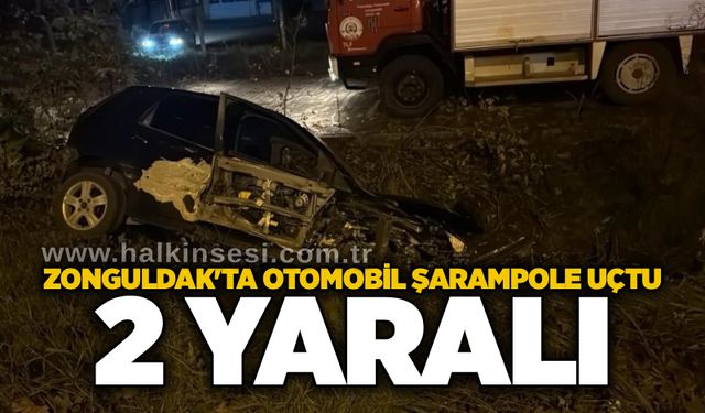 Zonguldak'ta otomobil şarampole uçtu: 2 yaralı