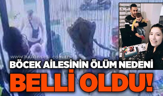Böcek ailesinin ölüm nedeni belli oldu!