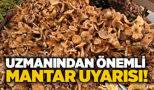 Uzmanından önemli mantar uyarısı!