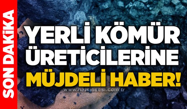 Yerli kömür üreticilerine müjdeli haber!