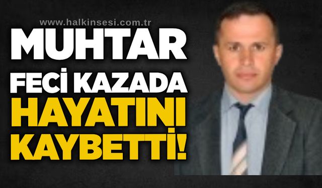 Muhtar feci kazada hayatını kaybetti!