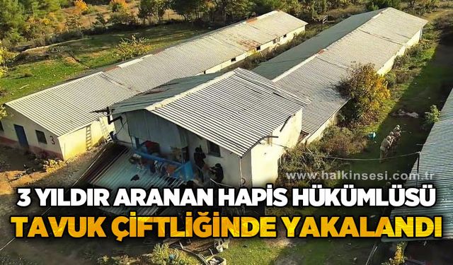 Üç yıldır aranan 29 yıl hapis hükümlüsü firari hayvan çiftliğinde yakalandı