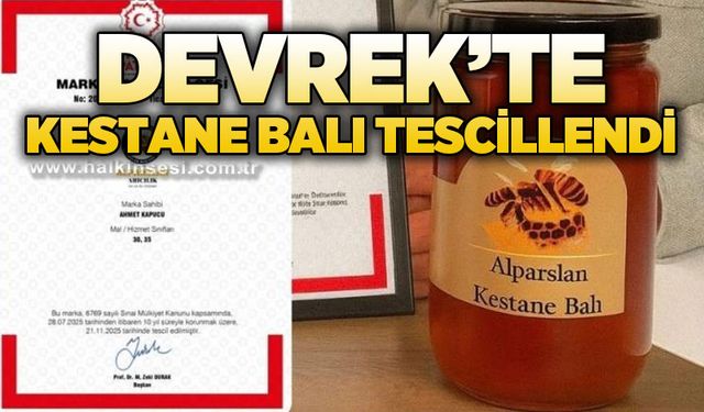 Devrek’te kestane balı tescillendi