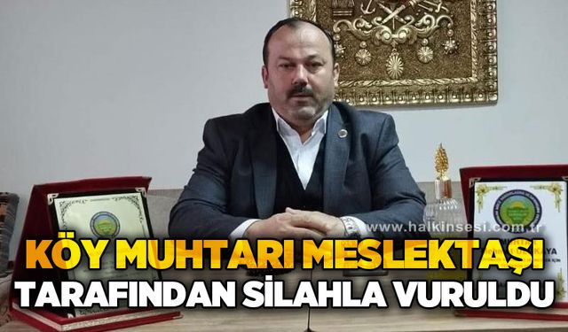 Köy muhtarı kazara meslektaşını vurdu